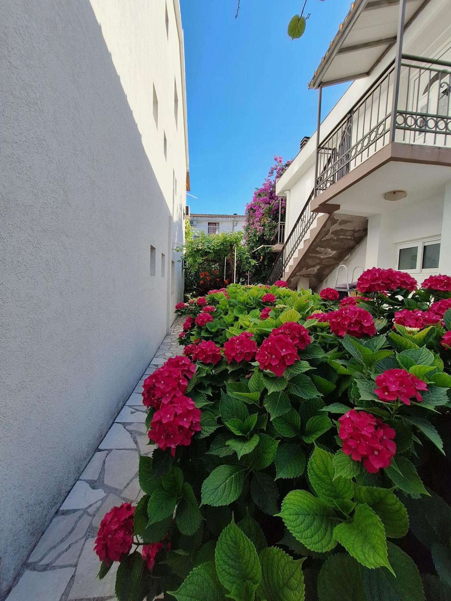 Apartmani Hortenzija Budva Exteriér fotografie