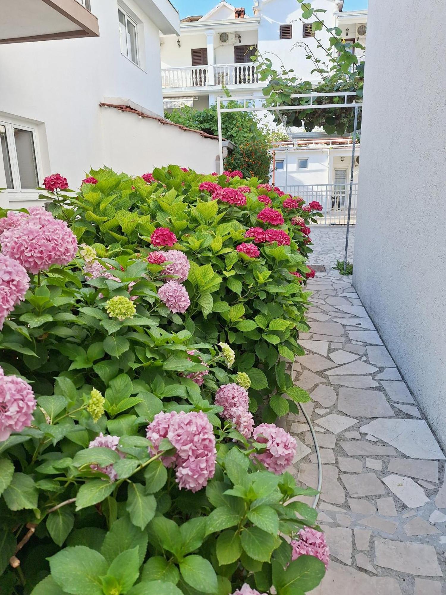 Apartmani Hortenzija Budva Exteriér fotografie
