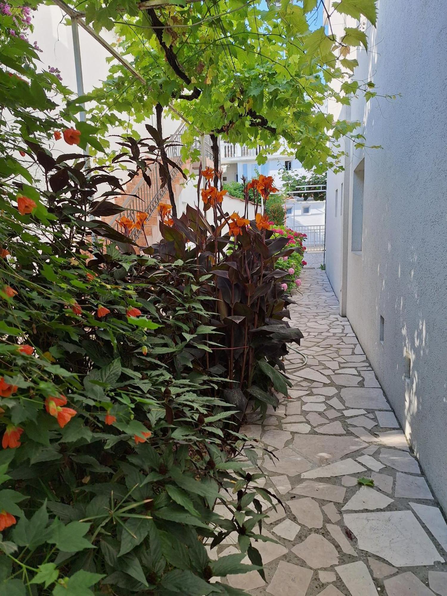 Apartmani Hortenzija Budva Exteriér fotografie