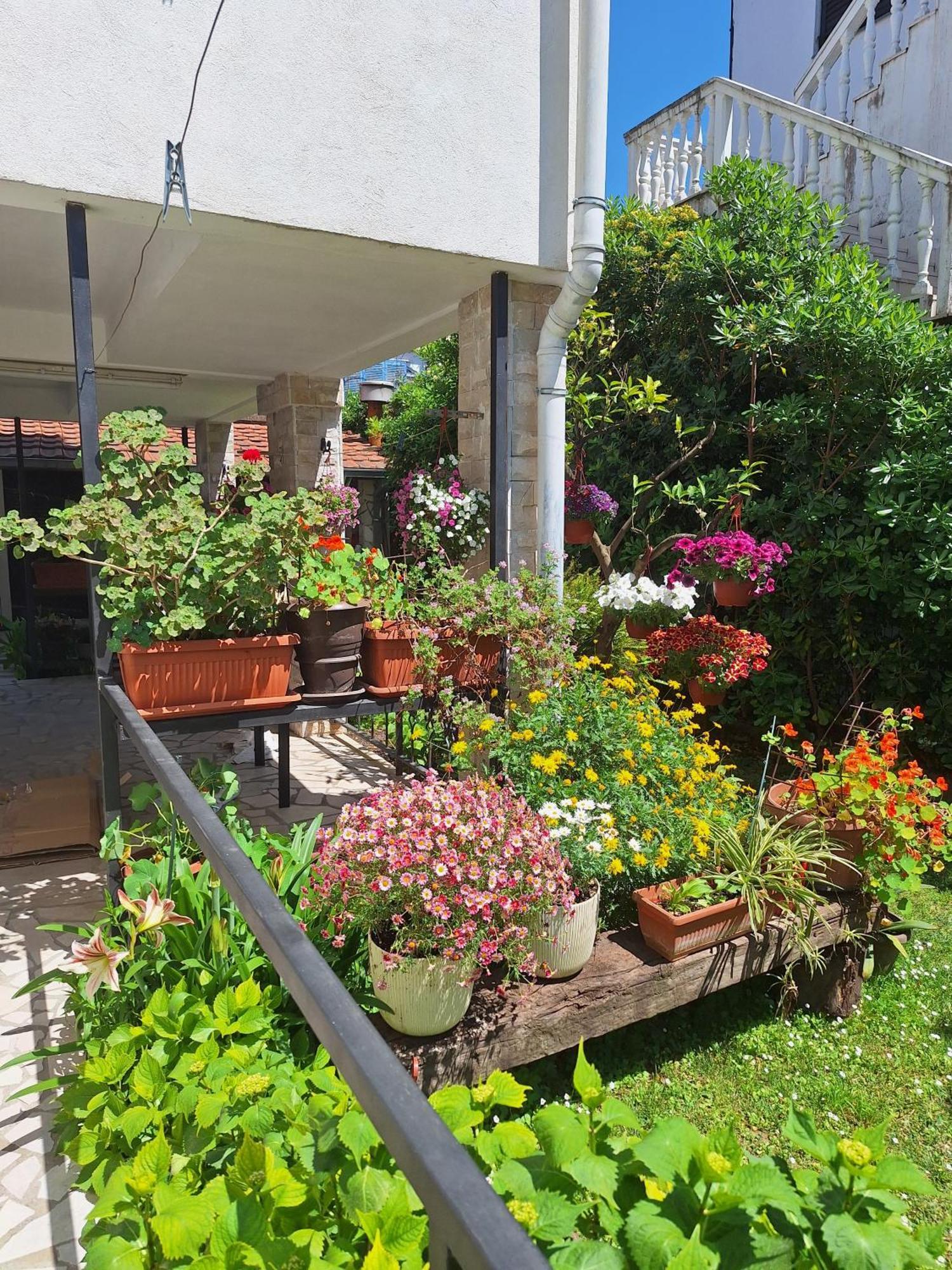 Apartmani Hortenzija Budva Exteriér fotografie